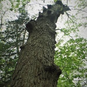 Meet your Posher, Chrissy